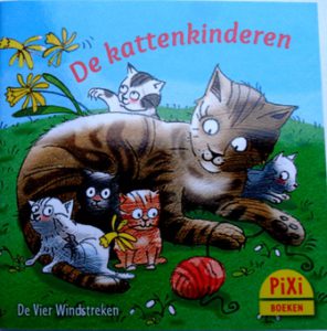 Katzenkinder-klein NL